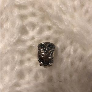 Pandora charm